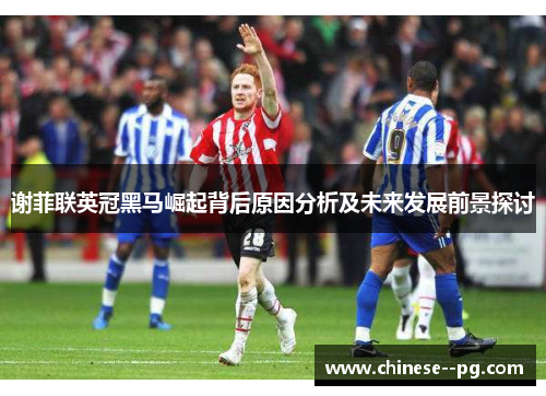 谢菲联英冠黑马崛起背后原因分析及未来发展前景探讨